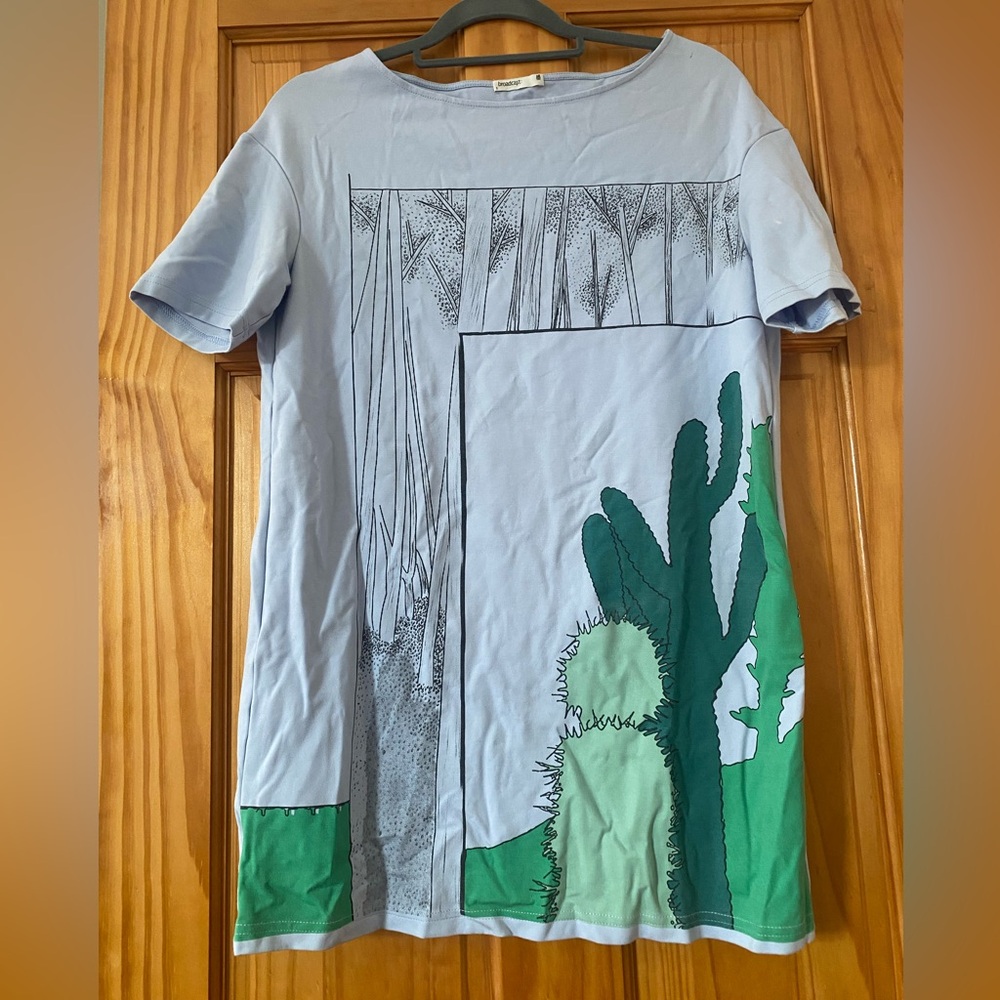 Broadcast Abstract Desert Graphic Tee Small Blue Cactus Art Oversized Minimalist